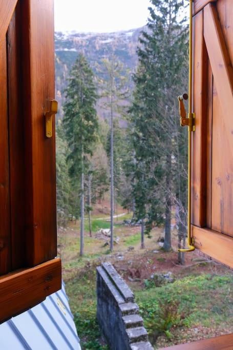 ~Chalet_Rifugio Tra I Boschi~ Sella Nevea Εξωτερικό φωτογραφία