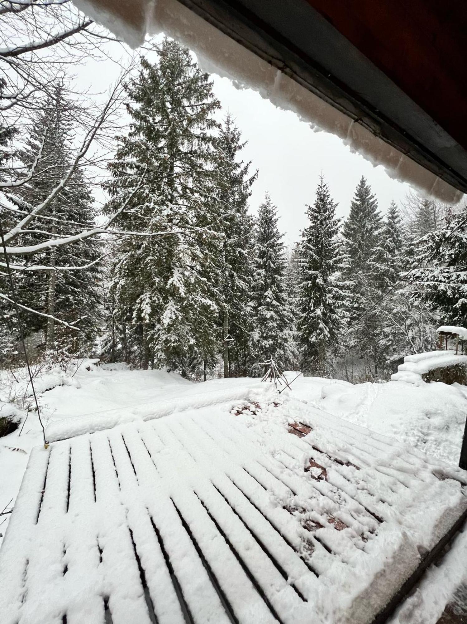 ~Chalet_Rifugio Tra I Boschi~ Sella Nevea Εξωτερικό φωτογραφία