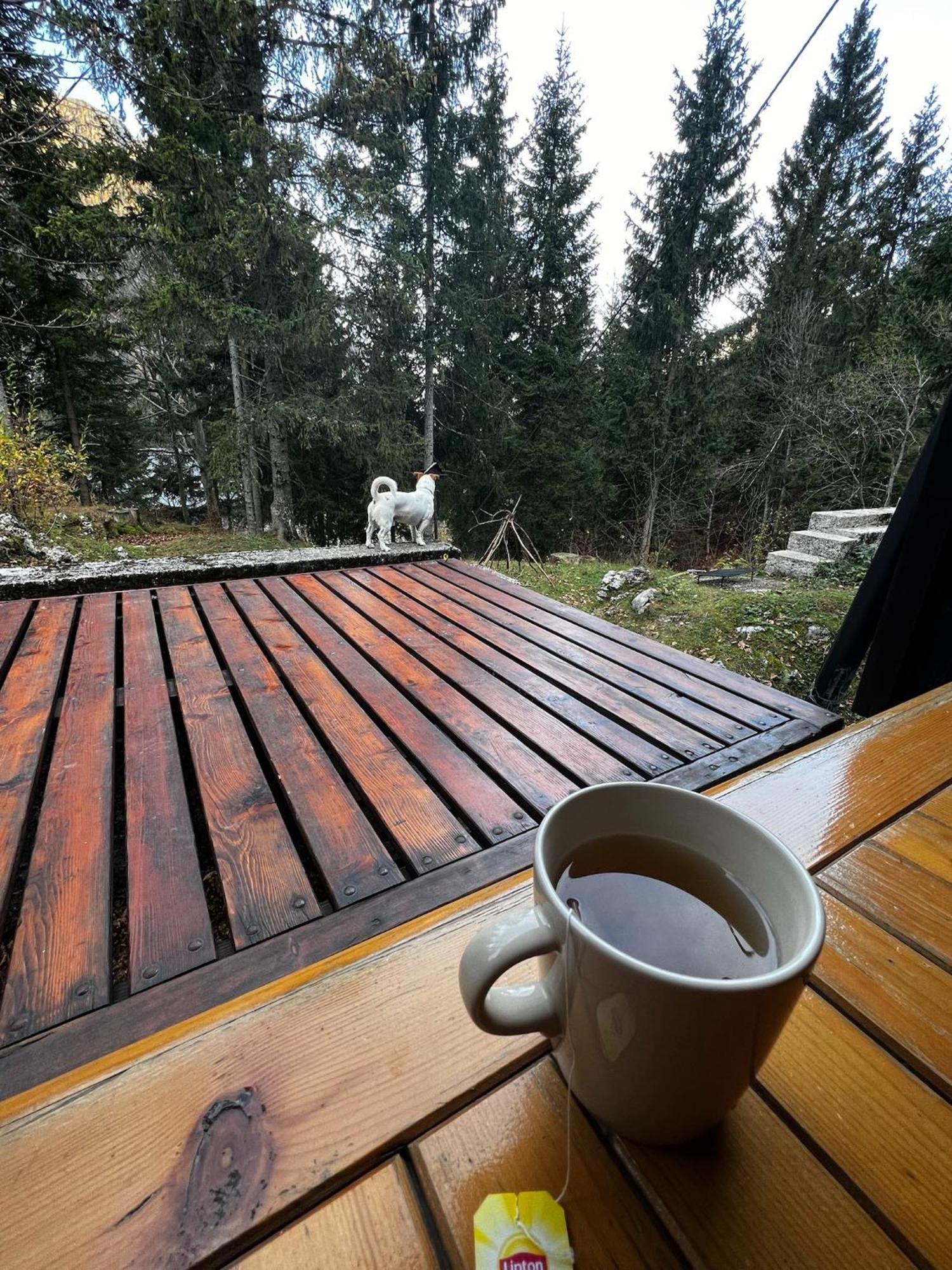 ~Chalet_Rifugio Tra I Boschi~ Sella Nevea Εξωτερικό φωτογραφία